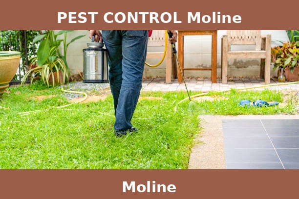 PEST CONTROL Moline